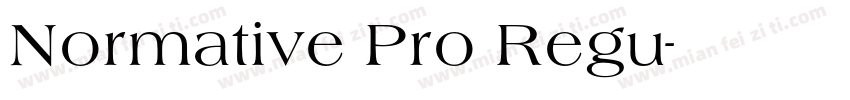 Normative Pro Regu字体转换